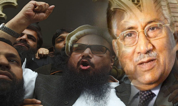 hafij@