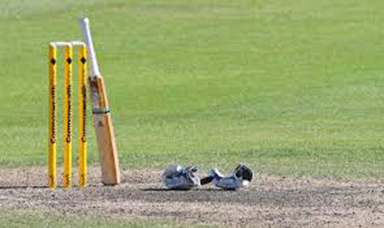 cricket